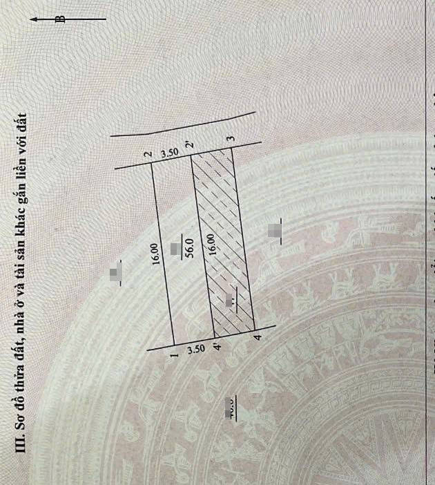 BÁN ĐẤT MẶT NGÕ Ô TÔ ĐƯỜNG PHẠM VĂN ĐỒNG- XUÂN ĐỈNH – THÔNG TỨ TUNG